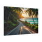 Sunlit Coastal Drive