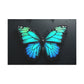 Ethereal Wings