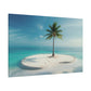 Solitary Serenity: Palm Oasis