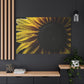 Luminous Sunflower Glory